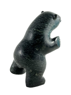 2 way dancing bear by David Shaa